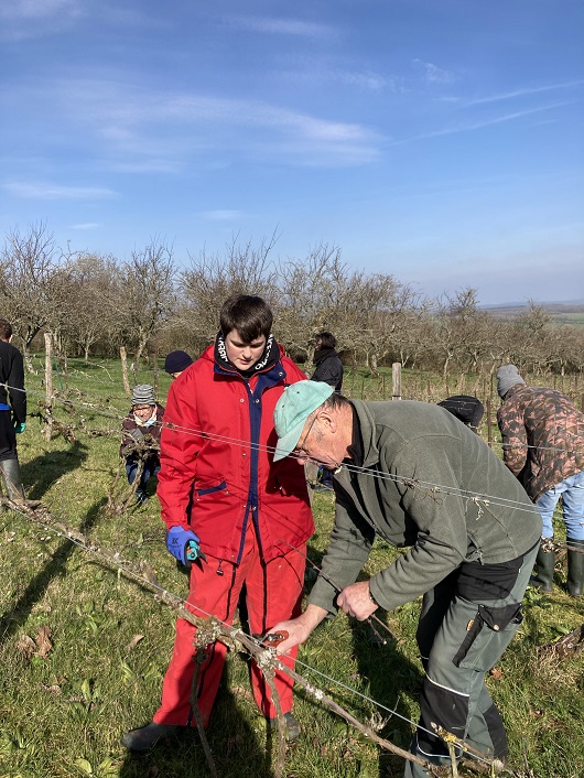 Denis explique à Laura comment on taille la vigne.