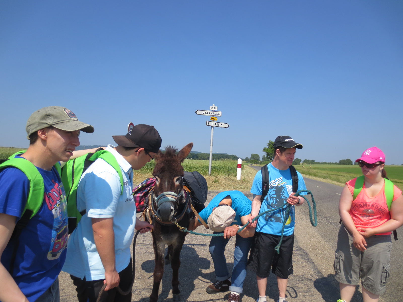 Roméo était importuné par les taons. Roméo était importuné par les taons.