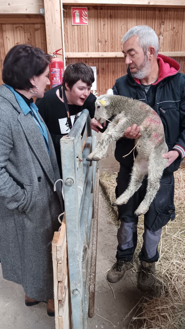 Nouvelle pensionnaire à la petite ferme Nouvelle pensionnaire à la petite ferme