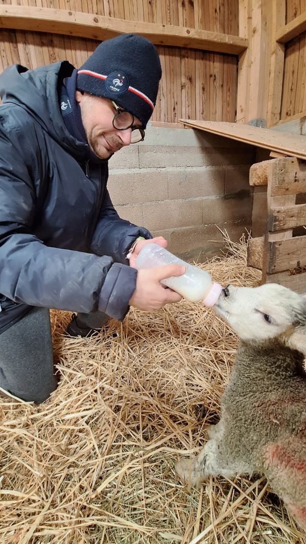 Nouvelle pensionnaire à la petite ferme Nouvelle pensionnaire à la petite ferme