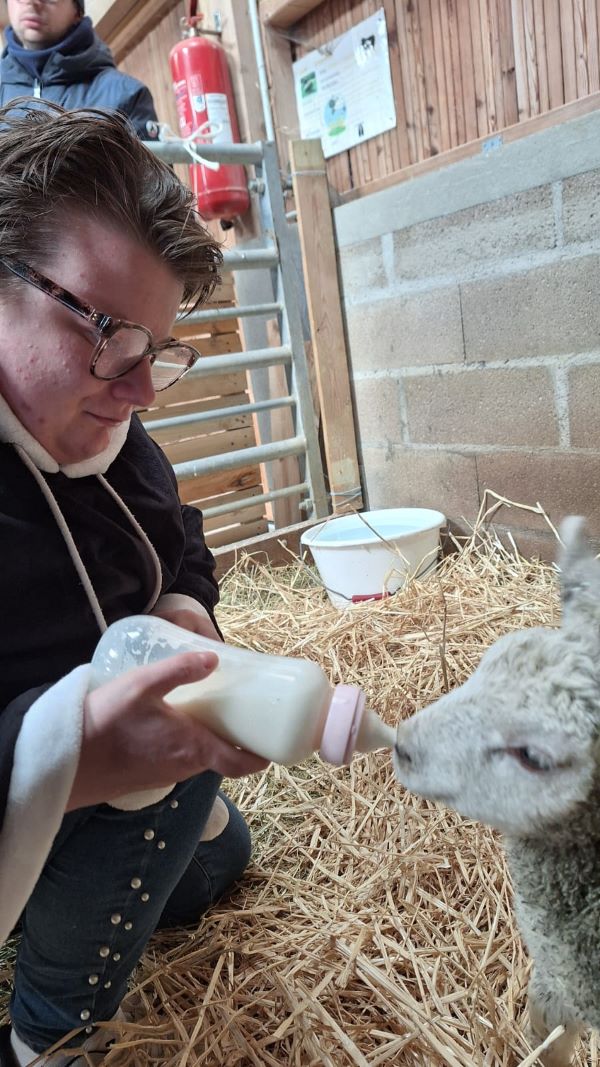 Nouvelle pensionnaire à la petite ferme