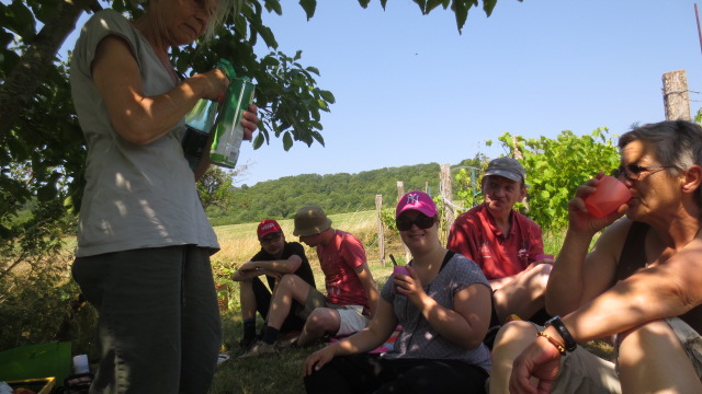 Palabre des vignerons, sur la colline de Sion