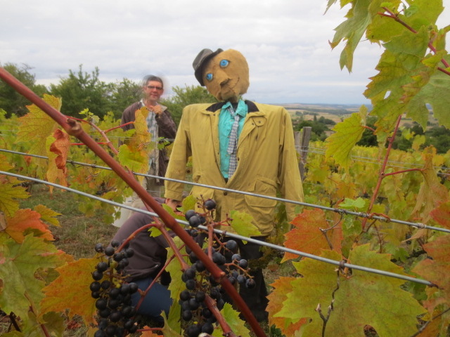 La Sentinelle de la Colline veille sur le raisin mûr. La Sentinelle de la Colline veille sur le raisin mûr.