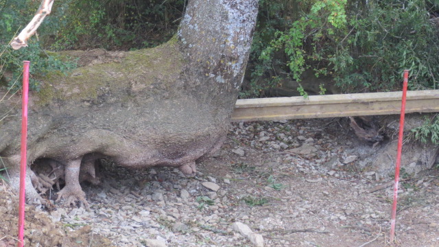 Le pont de pieds en cap !