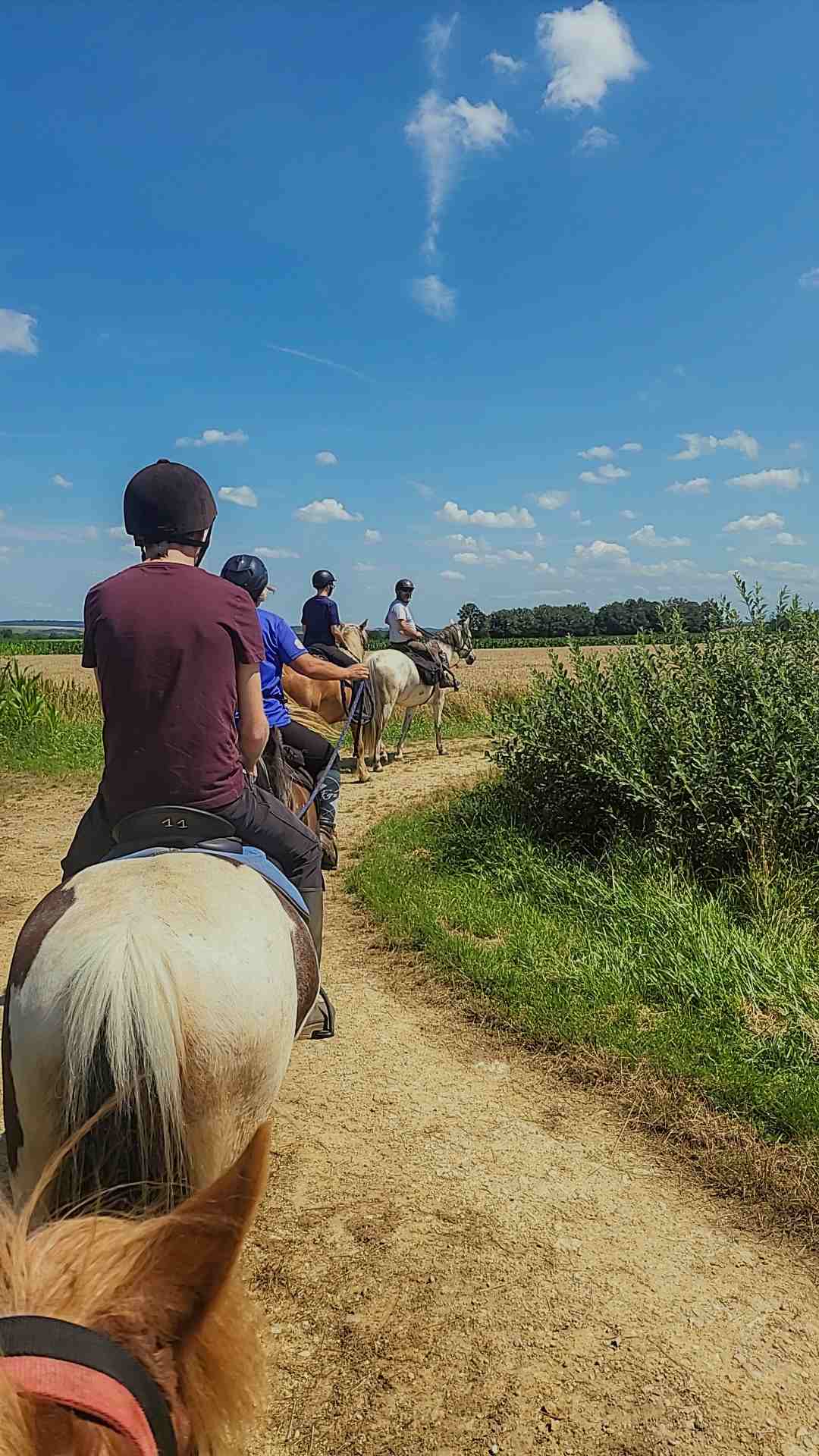 Les vacances sont finies, les souvenirs restent… Les vacances sont finies, les souvenirs restent…