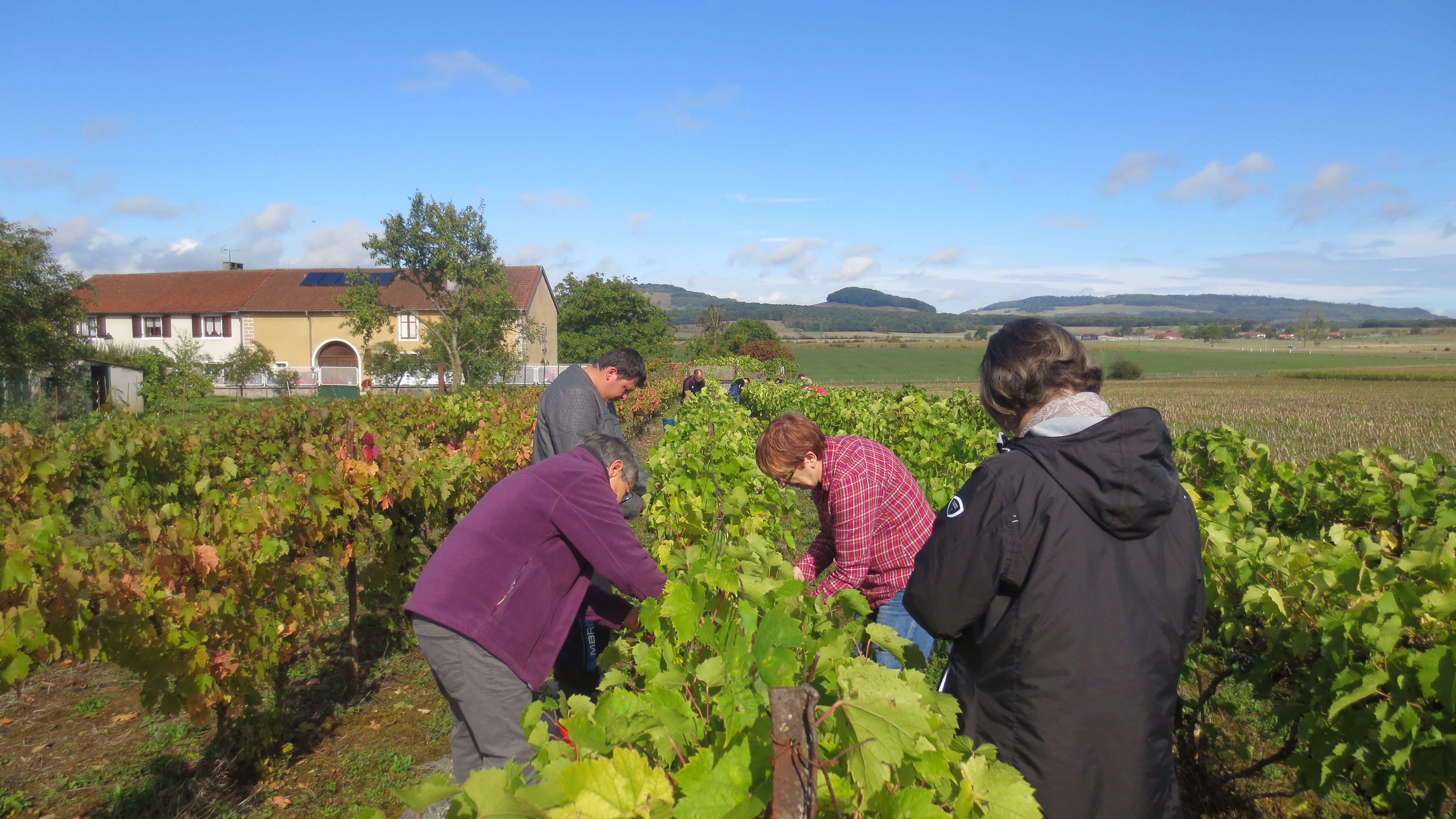 Sur l'horizon se découpe la colline de Sion