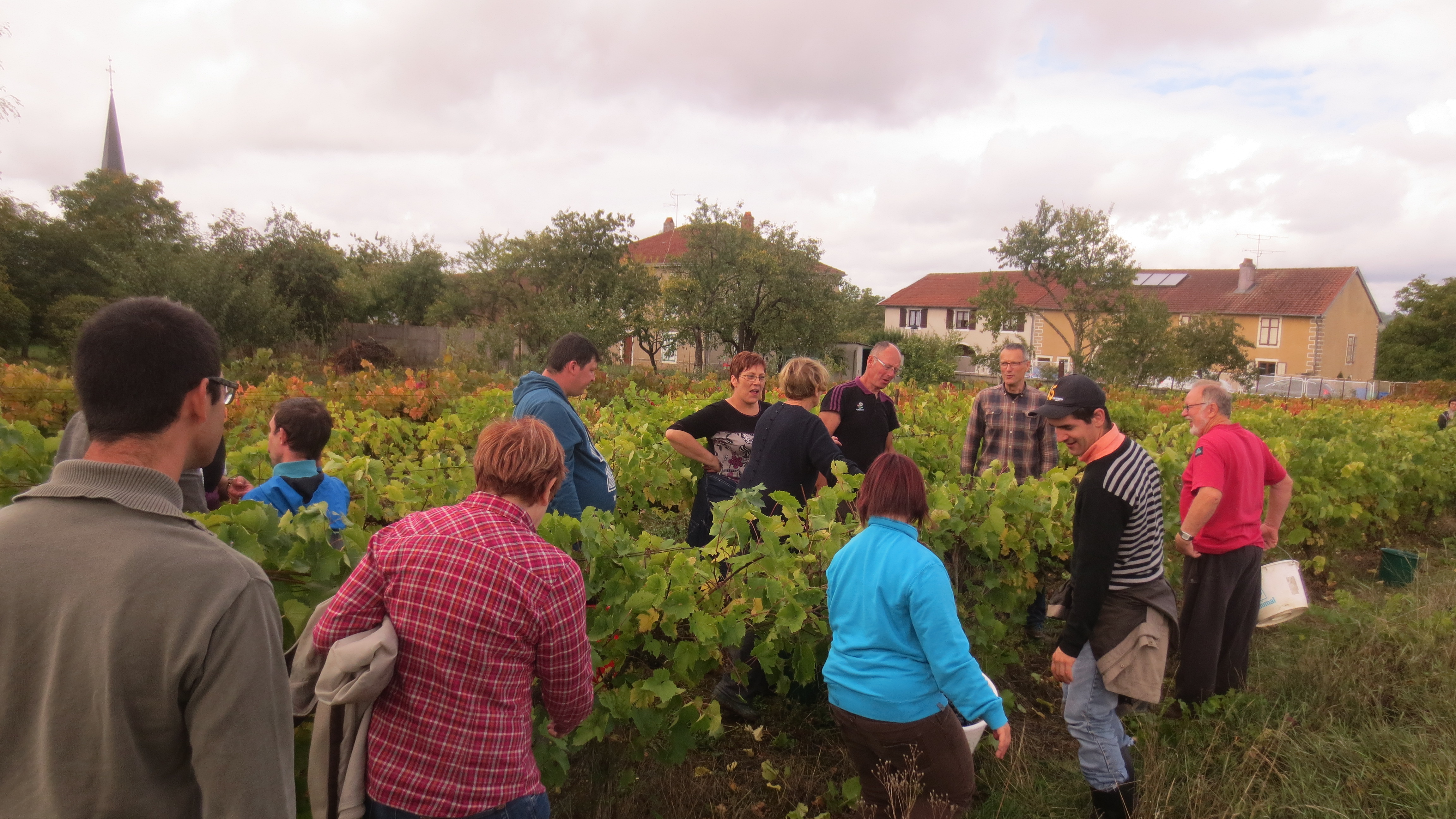A midi au clocher, la vendange était terminée A midi au clocher, la vendange était terminée