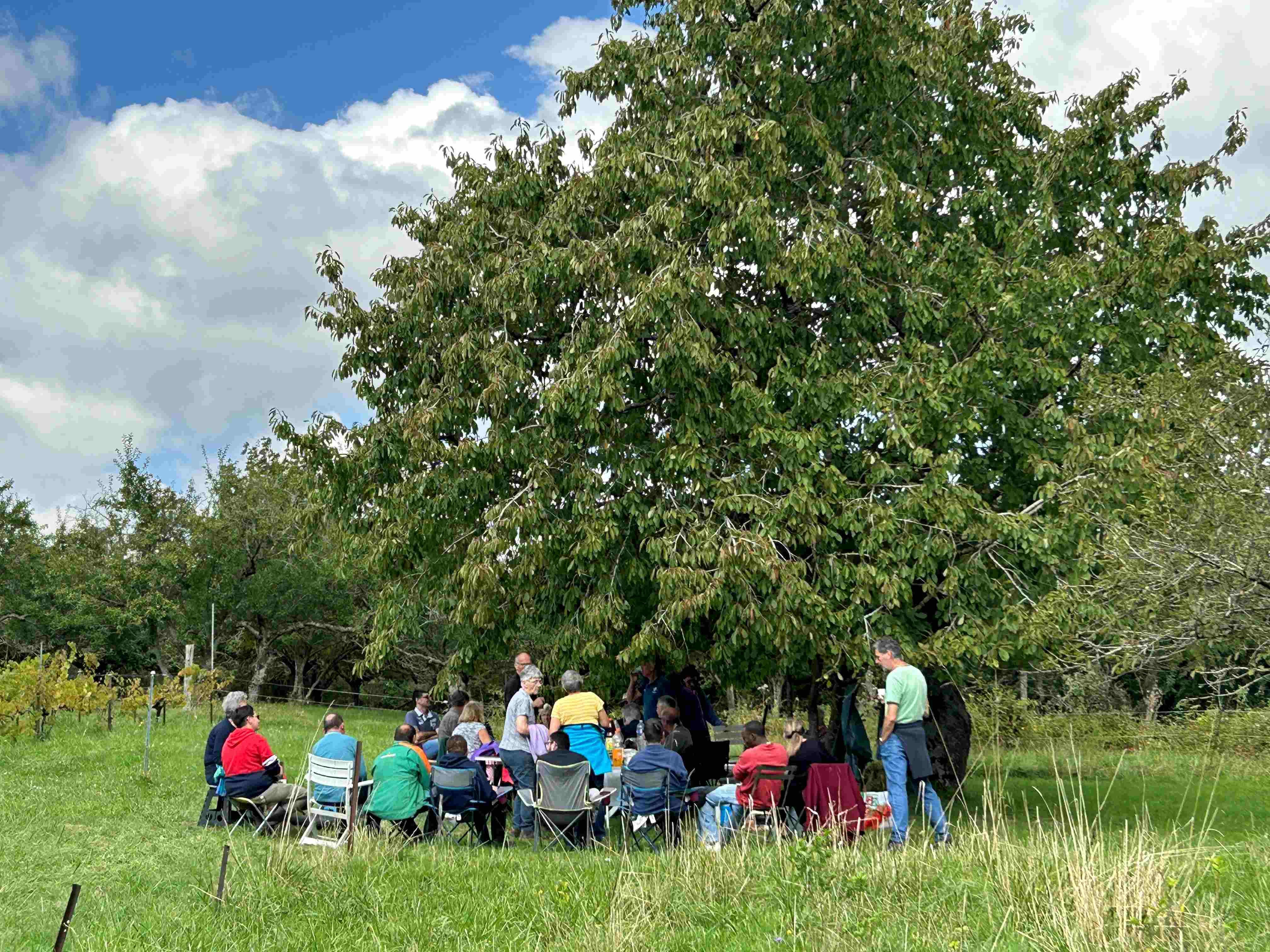 Vendanges : vignerons et vendangeurs en fête Vendanges : vignerons et vendangeurs en fête