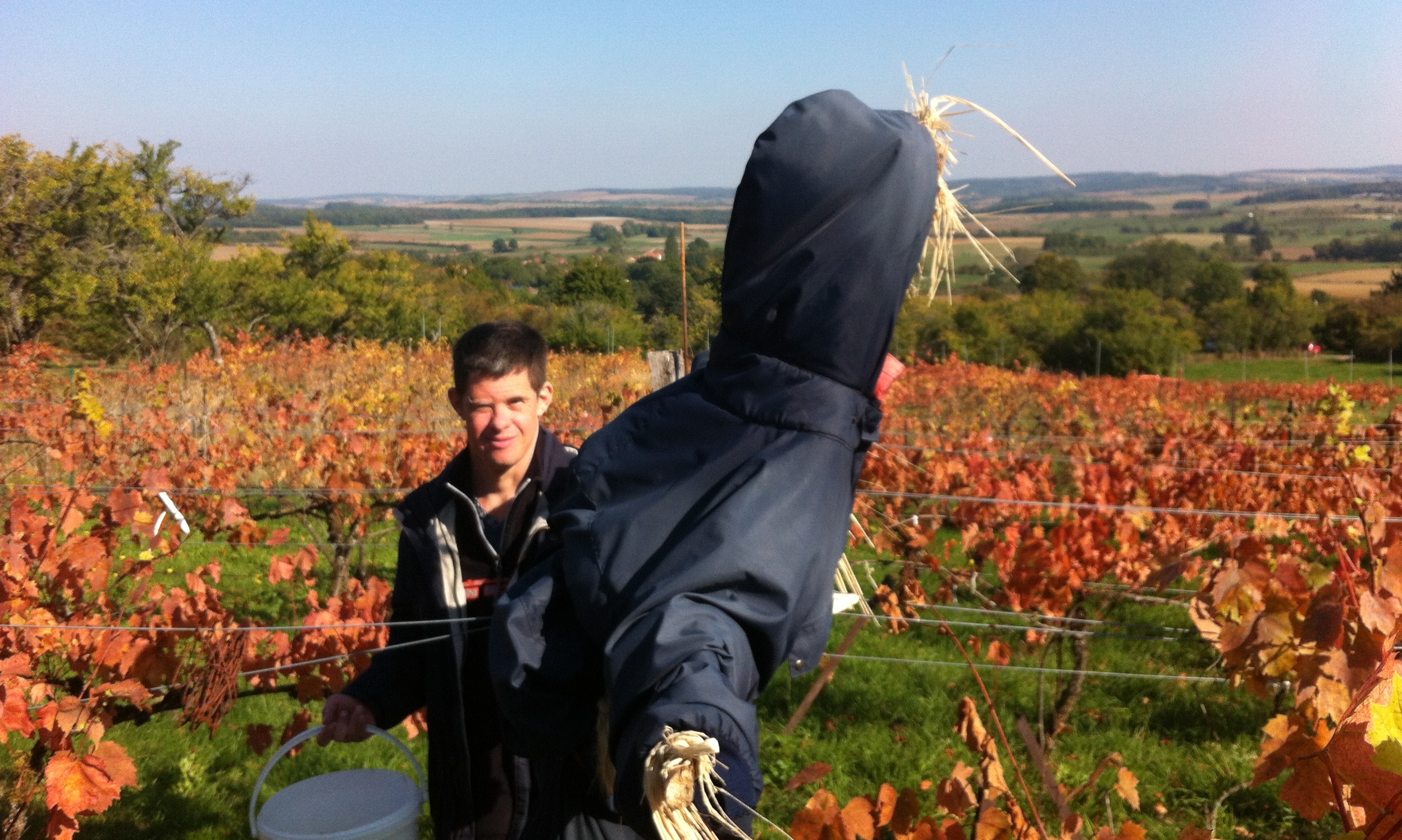 Même pas peur! Mais les oiseaux ont gardé leurs distances Même pas peur! Mais les oiseaux ont gardé leurs distances