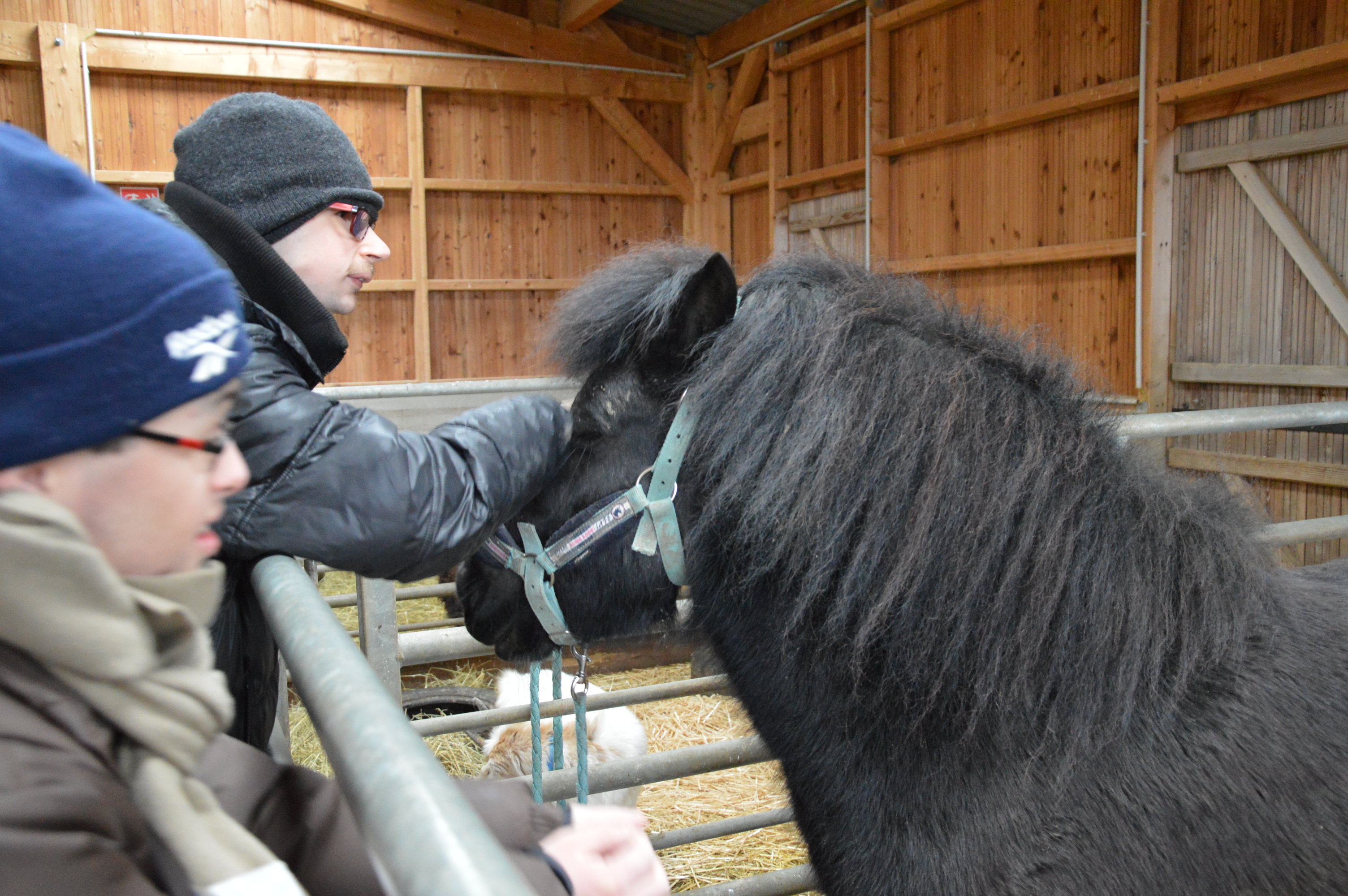 La ferme pédagogique, lieu de relations, lieu de repères, lieu d'échanges. La ferme pédagogique, lieu de relations, lieu de repères, lieu d'échanges.