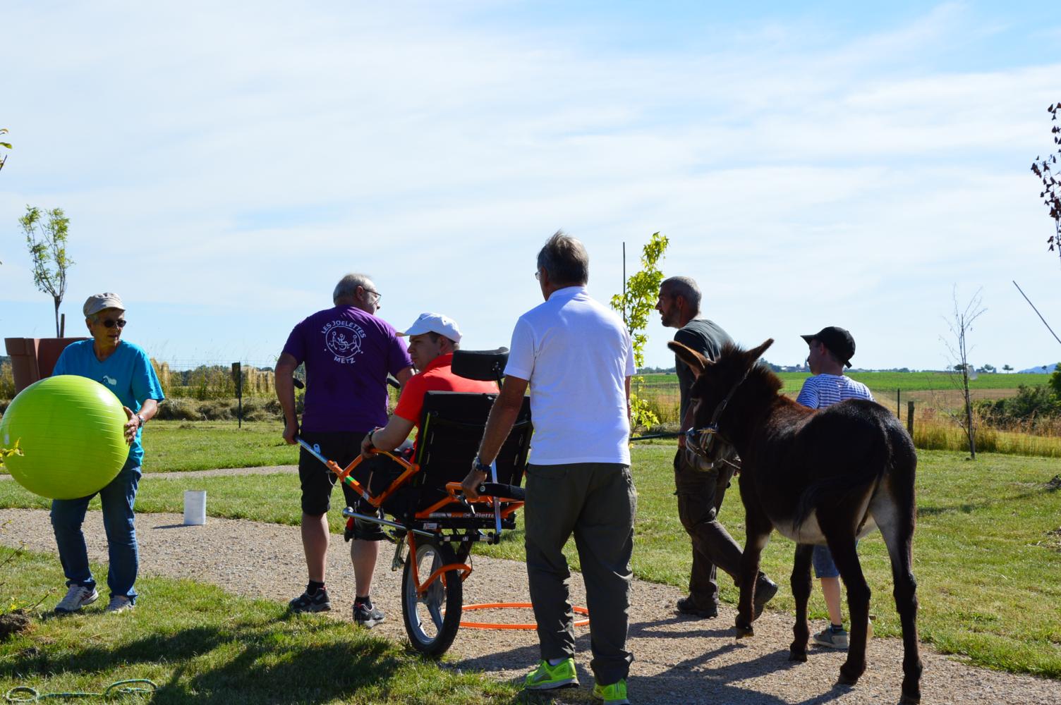 Quelques démonstrations dans l'espace animalier Quelques démonstrations dans l'espace animalier