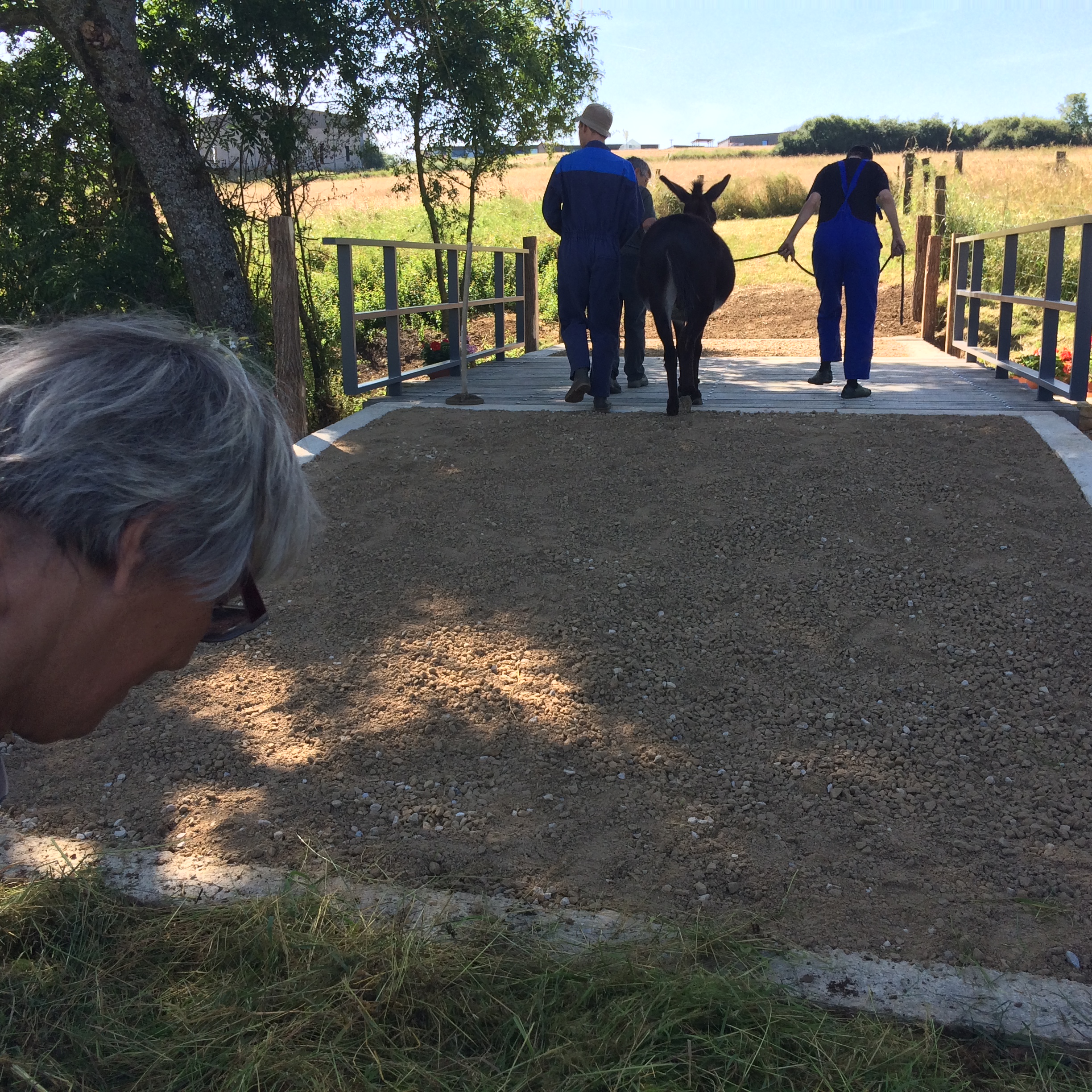 En fête,  avec notre environnement !.. En fête,  avec notre environnement !..